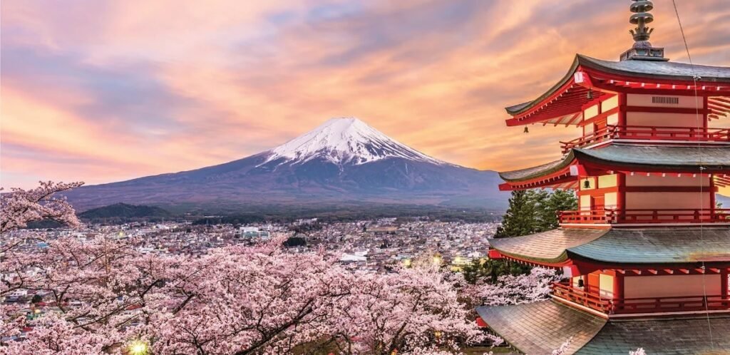 Breathtaking Cherry Blossom Beauty: 5 Symbol of Hope & Renewal
